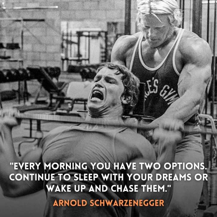 AYURVEDAYOGA19's tweet photo. Here is some straightforward workout motivation from the seven-time Mr. Olympia. 💪😤 https://t.co/7baMVh1KD3
