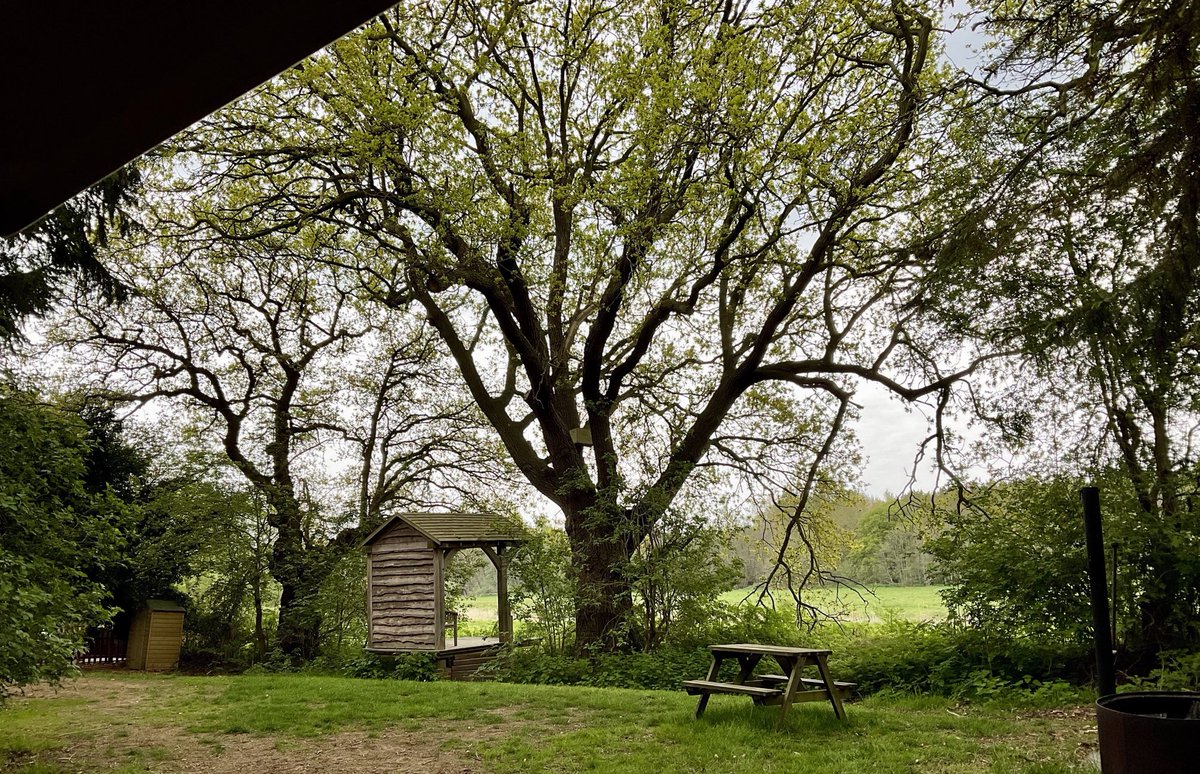 #camping #woodland campsite #camp fires #adult only #relax