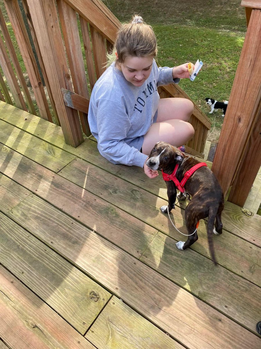 beithhend's tweet image. It’s a cool day 
#adultingshowmax #hookup #pet