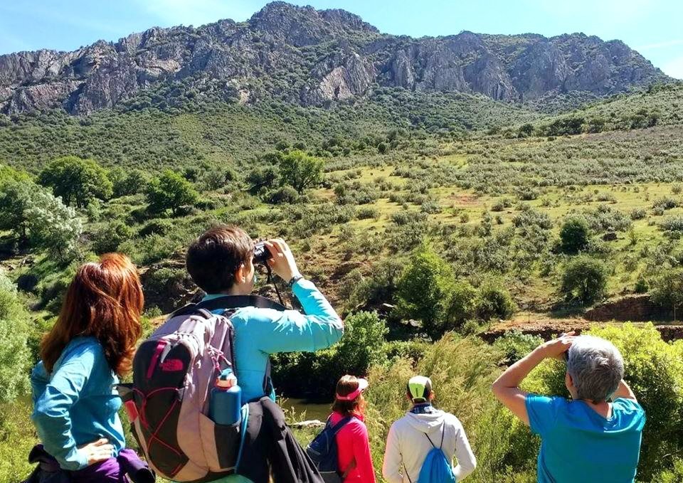 CharoRosell's tweet photo. El turismo se recupera con fuerza y España recibe un 36% más de visitantes en febrero #gastoturistico #destinos #vacaciones
 https://t.co/dsDYID7dGg https://t.co/70yLbkxMiD