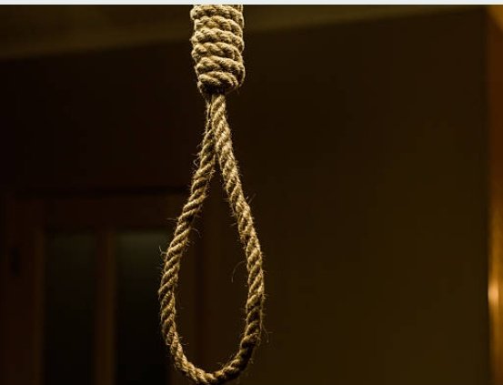 THE PATRIOT tweet media