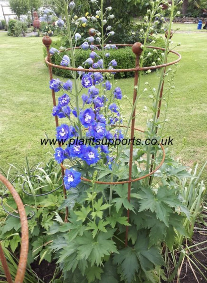 Ball Topped Cones. 
Visit plantsupports.co.uk to shop
#plants #plantsupports #garden #gardening #gardeningtips #GardeningTwitter #gardenlove