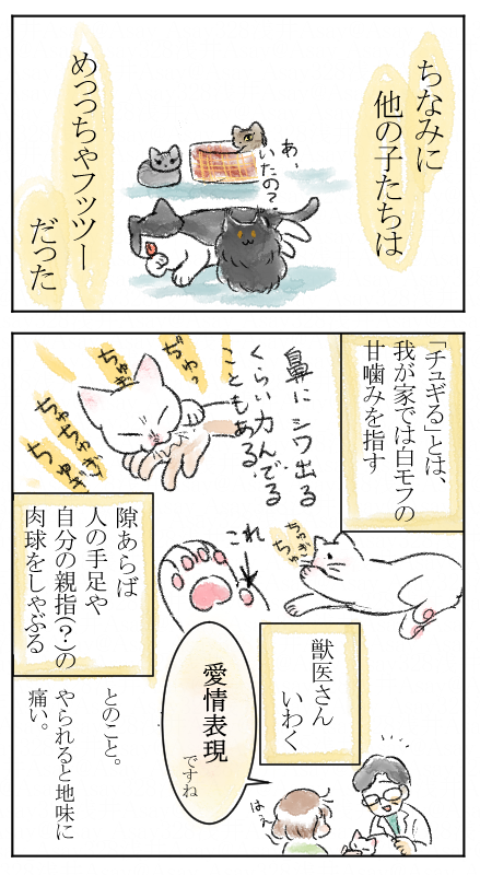 #あさいんちのねこ
微妙にツンデレ疑惑な白モフの話②