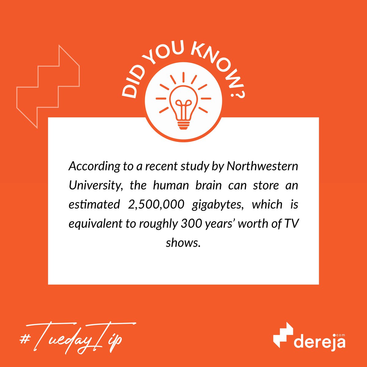 DerejaOfficial's tweet photo. What’s the storage capacity of your cell phone/laptop device? And did you know you carry with you the biggest storage device imaginable? Make sure to choose what you store in it wisely!! 🙂
#tusesdaytip #funfact #dereja #findyournextstep #thehumanbrain https://t.co/v5MjtWhmEk