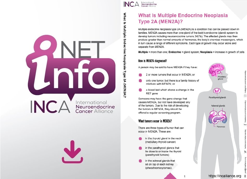 netcancerday's tweet photo. 👉MEN 2A is a rare hereditary condition. It is diagnosed clinically by the occurrence of two or more specific endocrine tumors (MTC, pheo, parathyroid adenoma). 
✅Download our new #NETINfo on MEN2A in 10 languages: https://t.co/Pj86quD8Th #EndoTwitter #MedTwitter #PathTwitter https://t.co/ESmXL3KG6r
