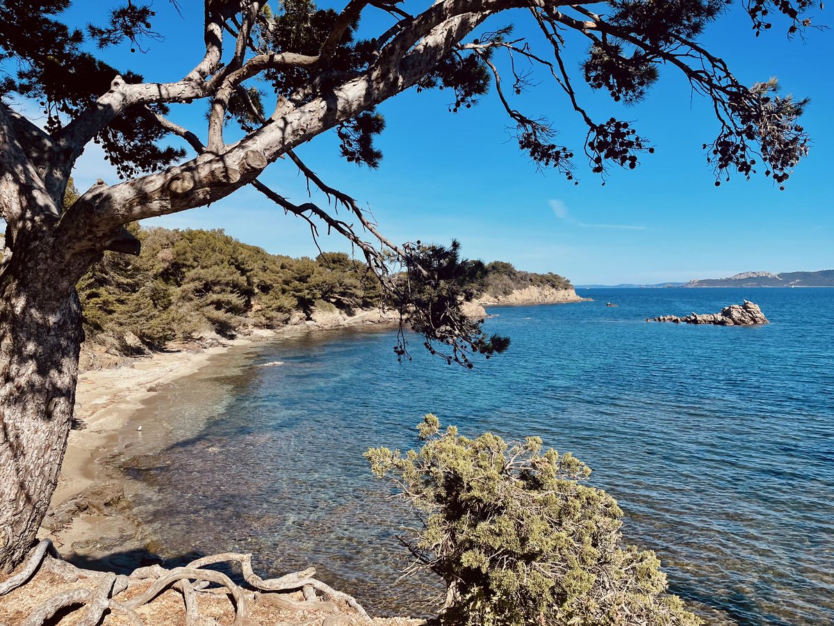 SYHLab's tweet photo. Thank you @SFTCG and @ESGCT for organizing the amazing #esgctspringschool 2023 in Giens, France 🧬🤩 It has been a motivating and highly inspiring experience, hope to see you all soon! https://t.co/VtMQaHgI1I