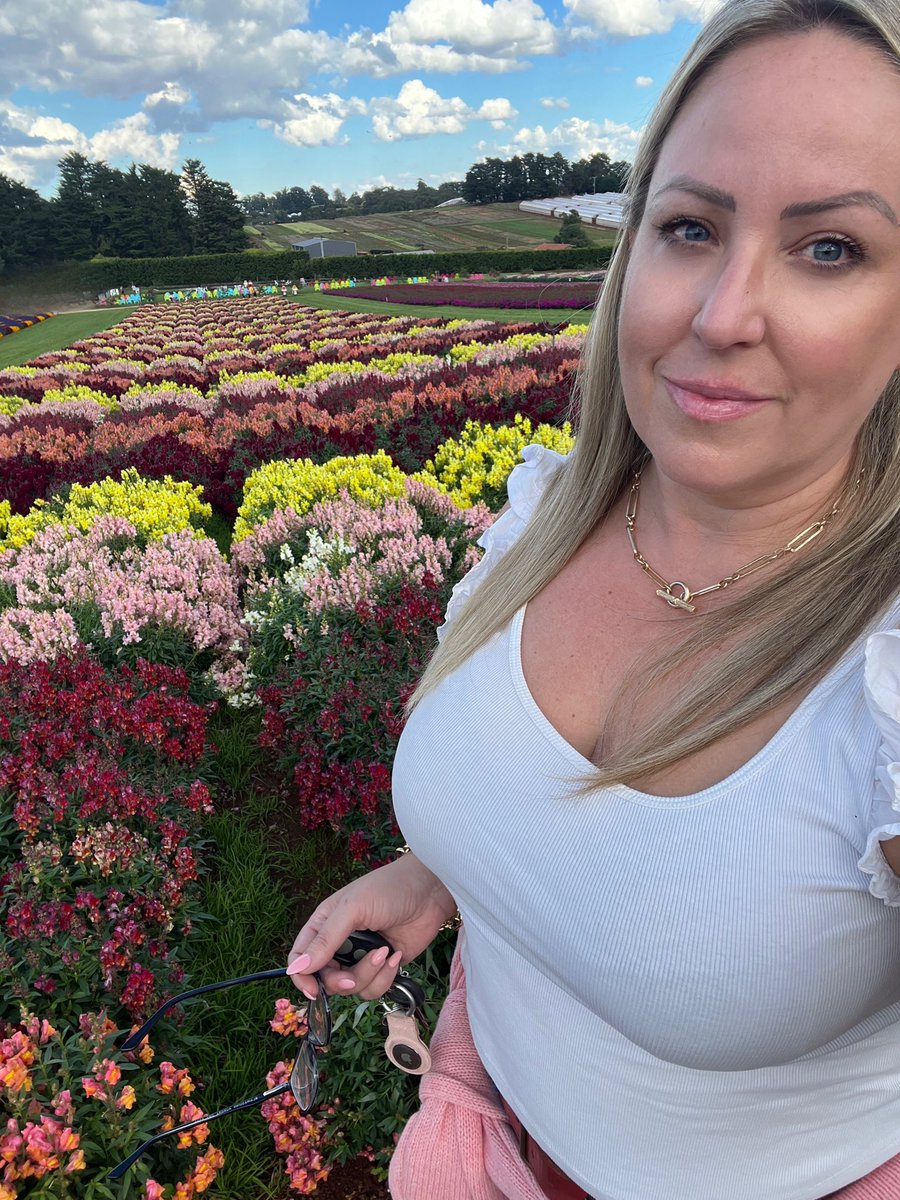 Steph__Paige's tweet photo. Obsessed with the flower fields out at #Tesselaar, #YarraValley! 

#daytrip #roadtrip https://t.co/WDUs8pN80O