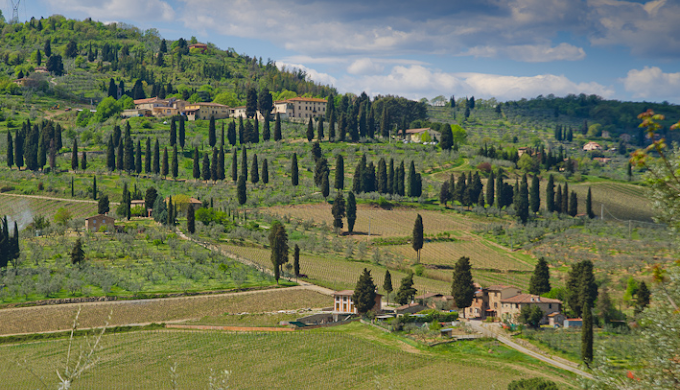 Column: Vinitaly en andere verrassingen - mailchi.mp/7702229d7c71/h…