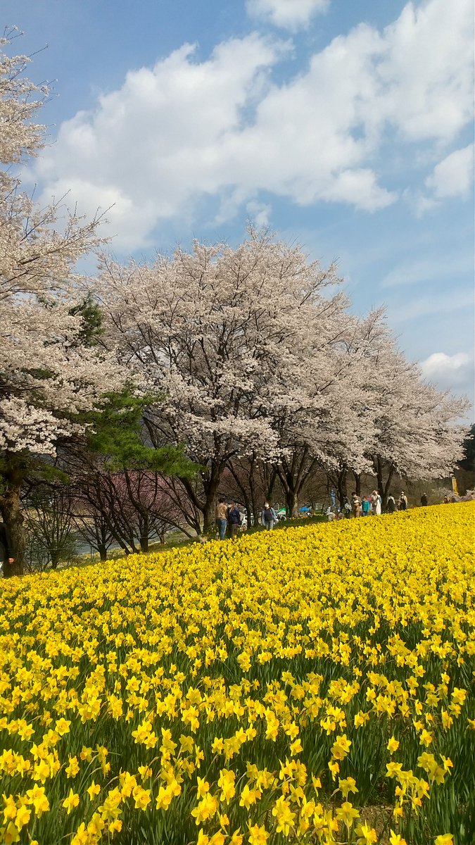 hotroom365's tweet photo. https://t.co/5er6627YG6営業係の高橋です。東吾妻すげー。 https://t.co/Vb0e5jCb5X