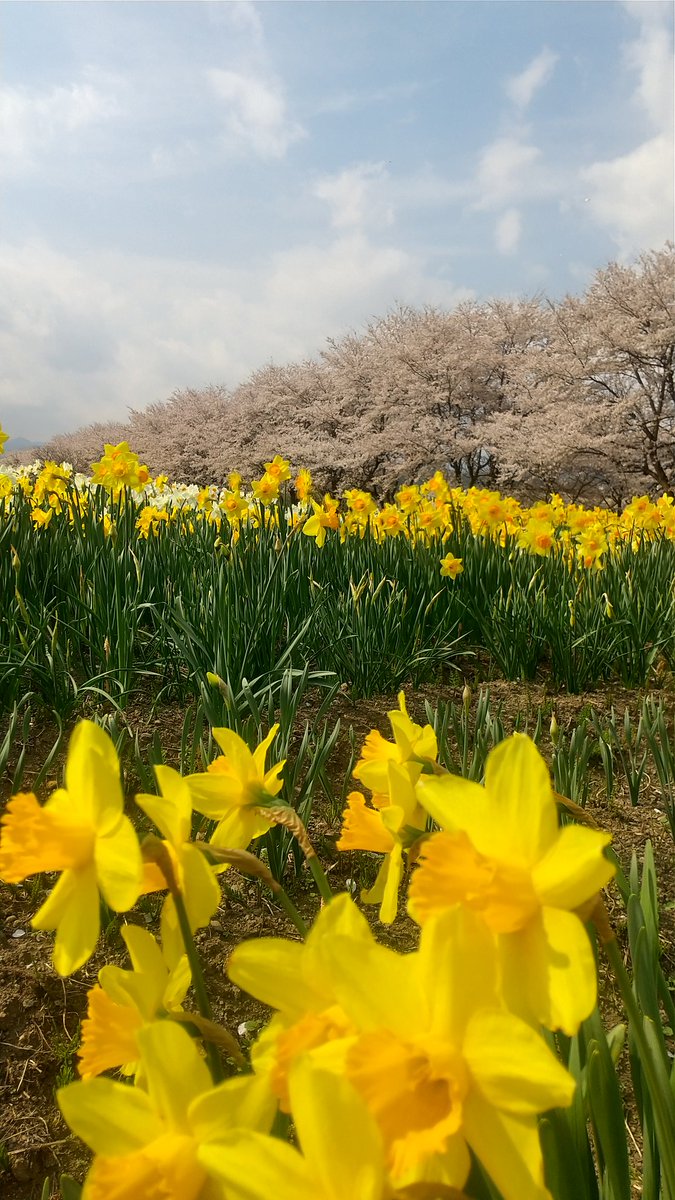 hotroom365's tweet photo. https://t.co/5er6627YG6営業係の高橋です。東吾妻すげー。 https://t.co/Vb0e5jCb5X