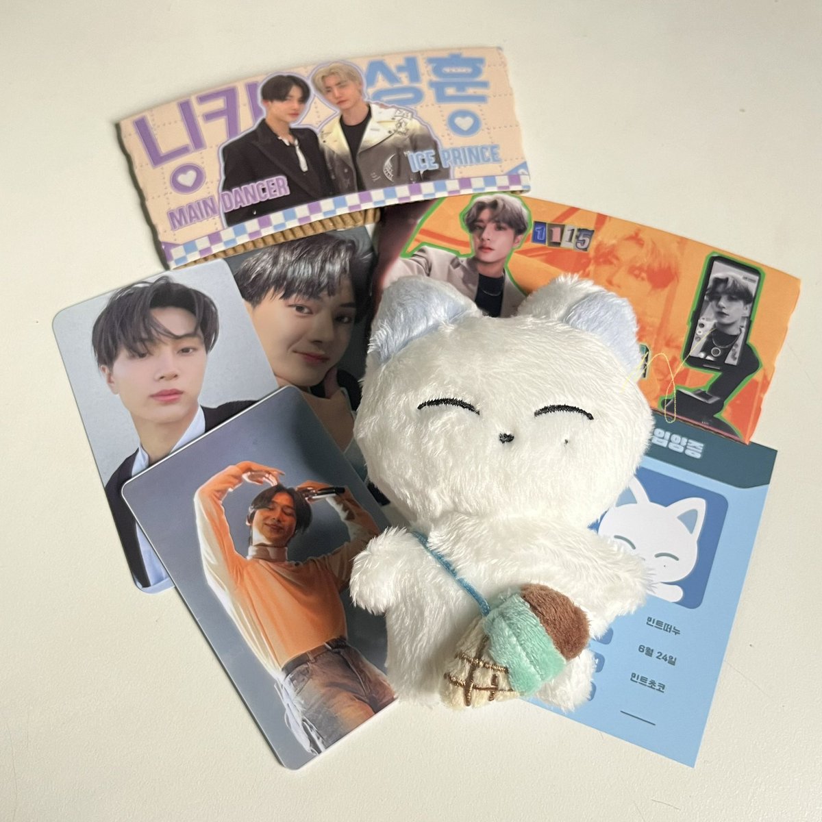 elysncart's tweet photo. #elysnmails ━
      mint ddeonu doll arrived safely, thankyou @enhacart also for the smooth and fast transaction. 🫶🏻

#kikifeeds https://t.co/UafN1yCi0f