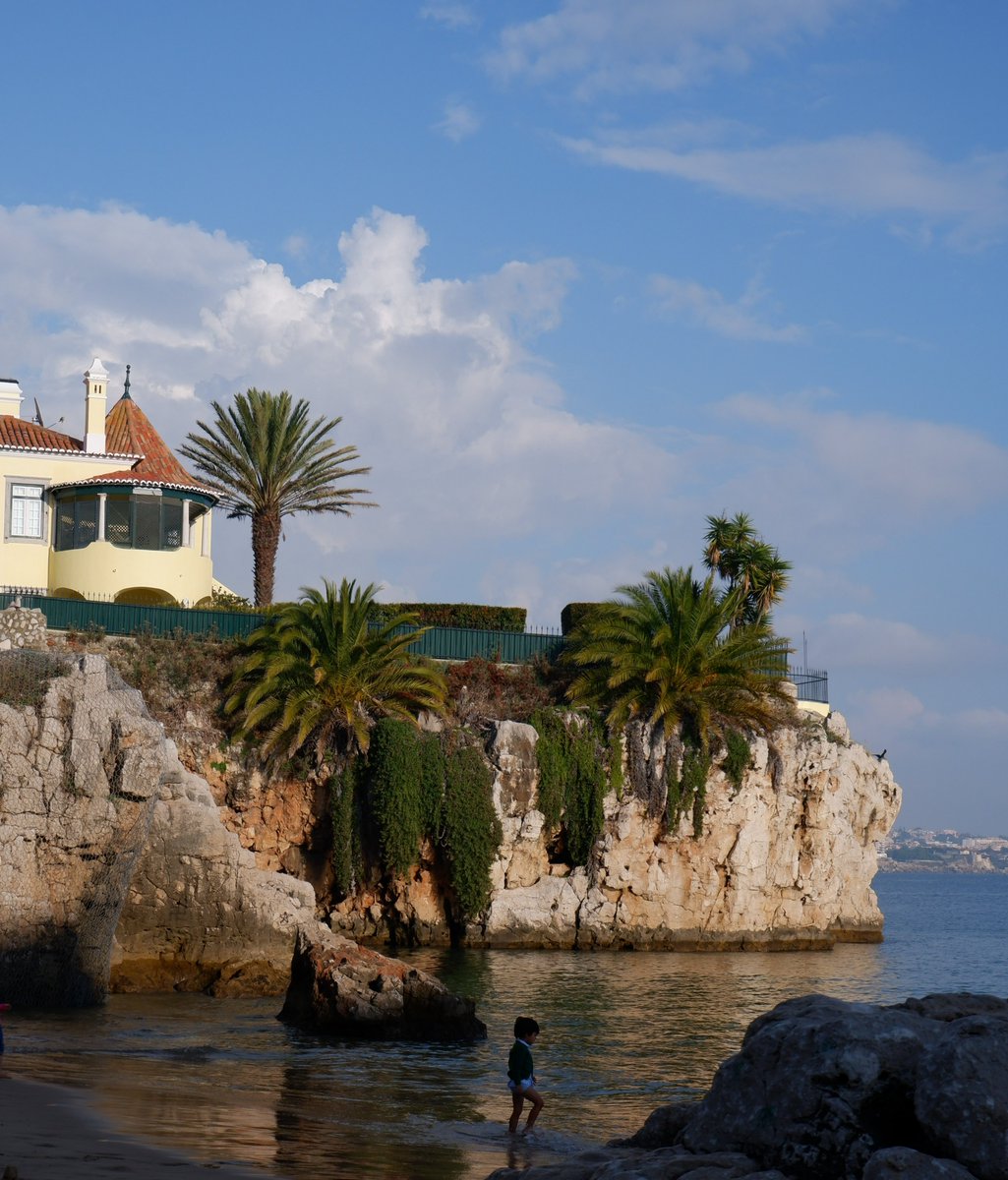 City Job Offers ✈️ tweet media