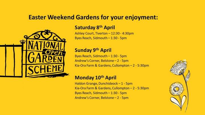 Devon NGS (@devonngs) on Twitter photo 