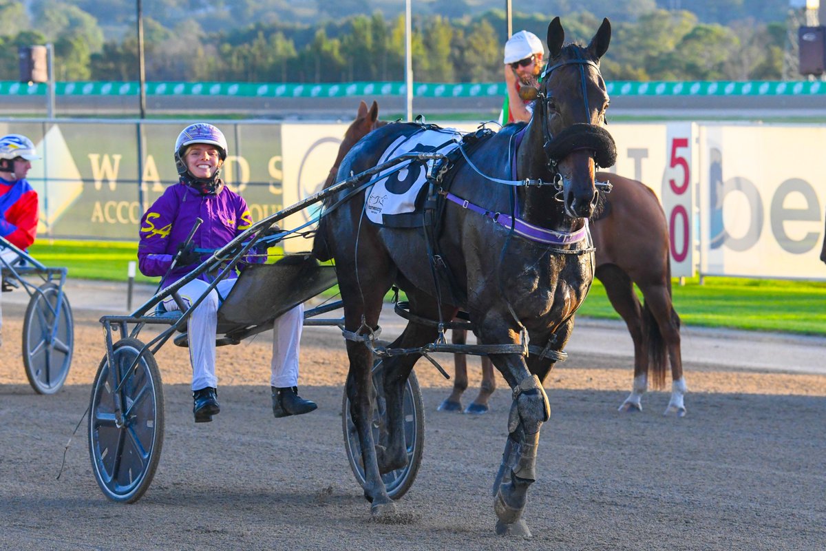 Club Menangle tweet media