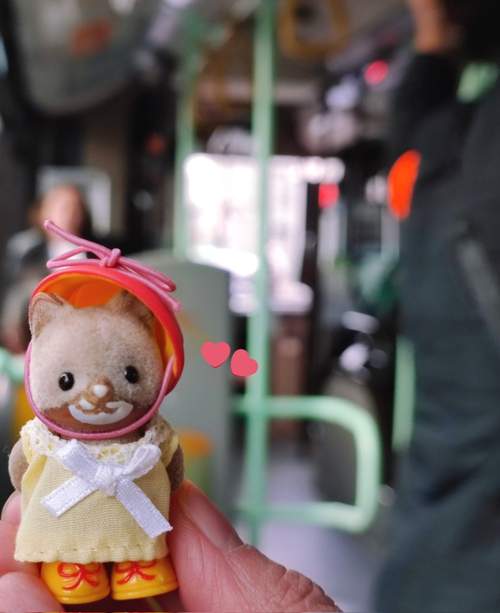 schrei_und_tod's tweet photo. Shima is enjoying the bus ride
#cute #かわいい #cutenessOVERLOAD #シルバニアファミリー #シマネコ #シルバニアの赤ちゃん
#calicocritters #SylvanianFamilies #BabySylvanian #ShimaBebe #Bus70 #RATP https://t.co/pGJp2W0MAd
