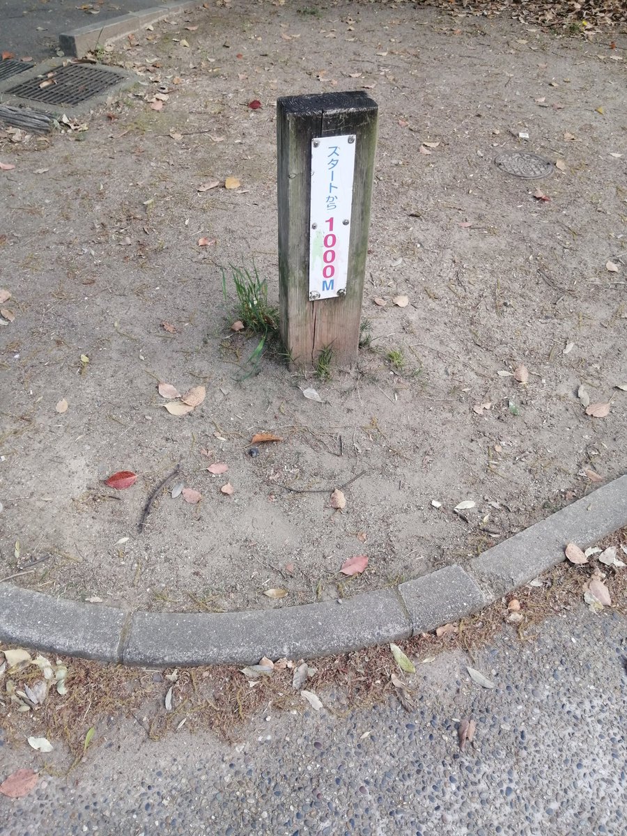 traderkino's tweet photo. runner練習。
同じコースでしたが、消費エナの都合で妻はwalkでエナ消費、私のみソロ練習でした。
2周目、25分過ぎた辺りから今日は息切れ💦
まだまだ体力不足、習慣付けるのみですね🥹
朝のwalkがあったので、一日単位では自身初の200GST超えでした🥳

#STEPN
#stepn
#STEPNランナー初心者 https://t.co/LoLu35MUVu
