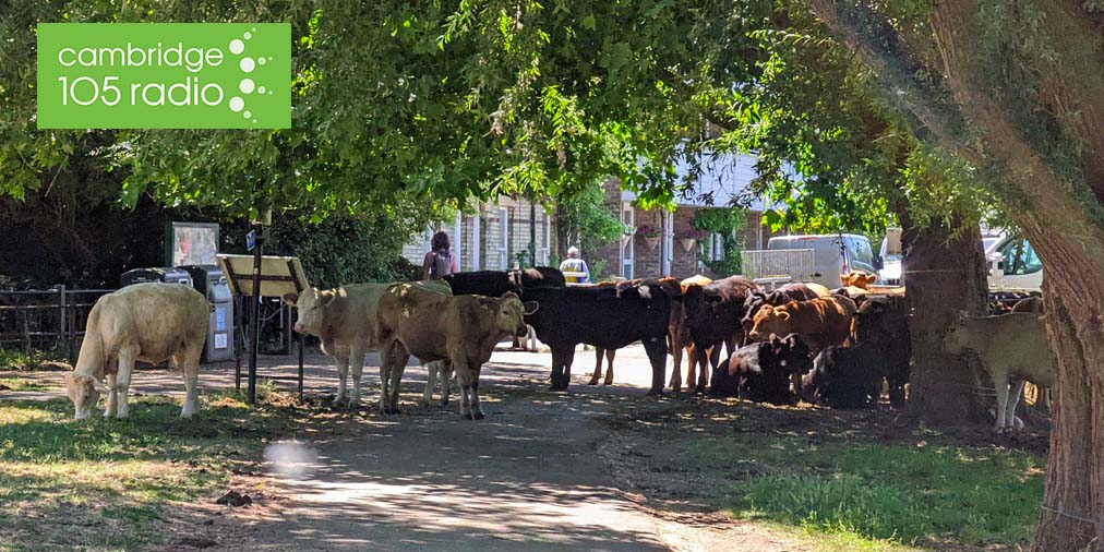 📻 Cambridge Breakfast tweet media
