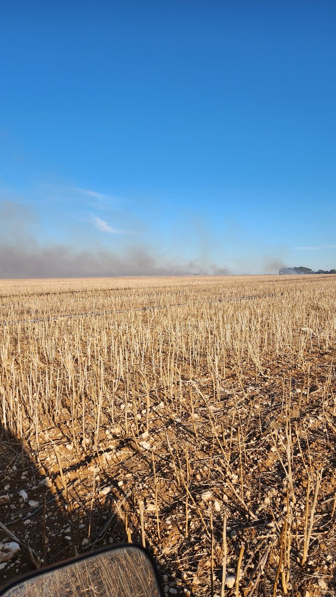 Great day to windrow burn. Seeding coming around way way to quick!