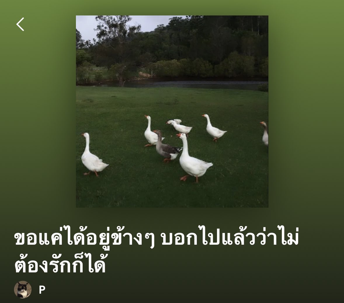 โห