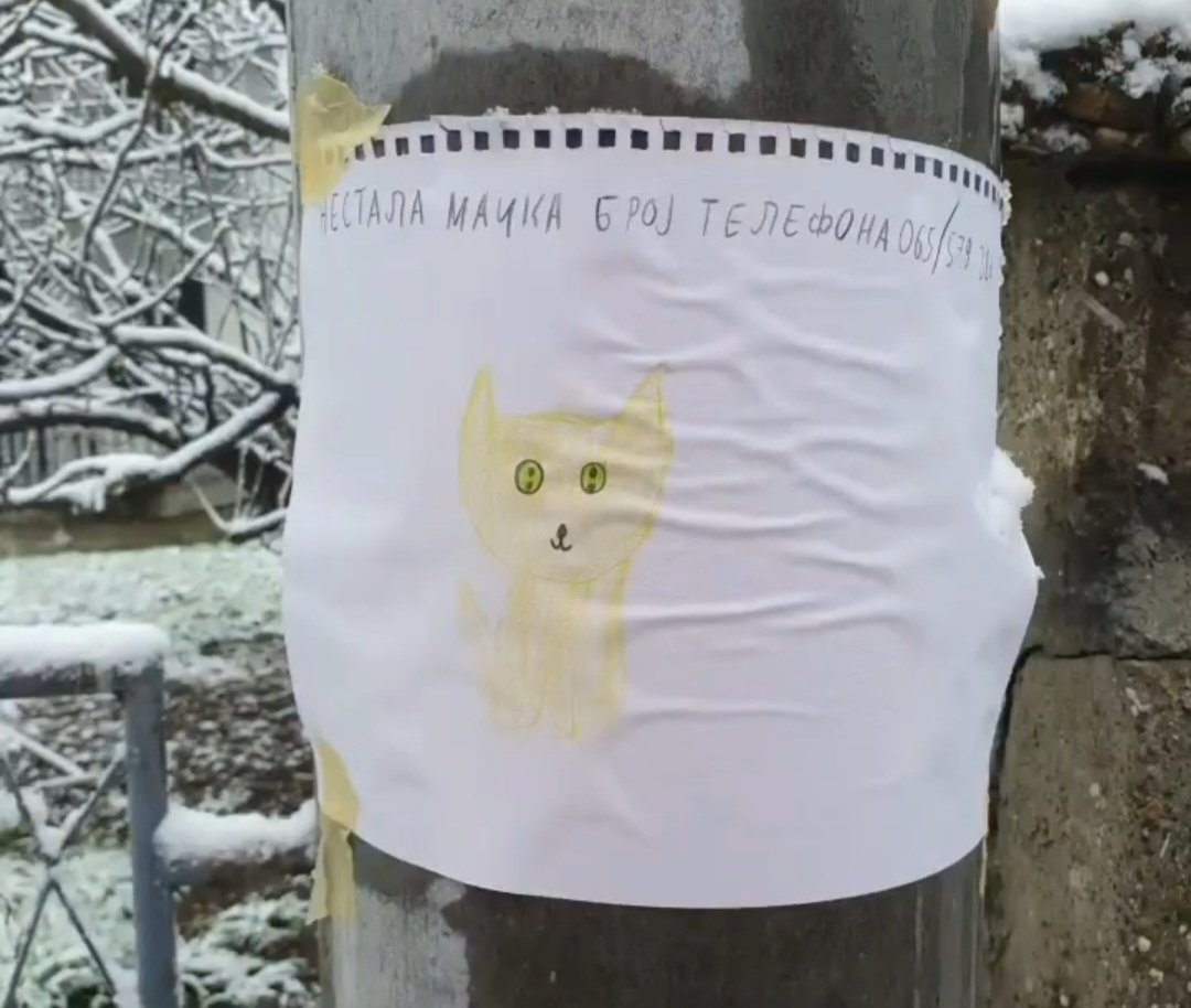 Jovanakrunicc's tweet photo. Maštovitost dječija u Bijeljini 💗 https://t.co/e2usXWVfkL