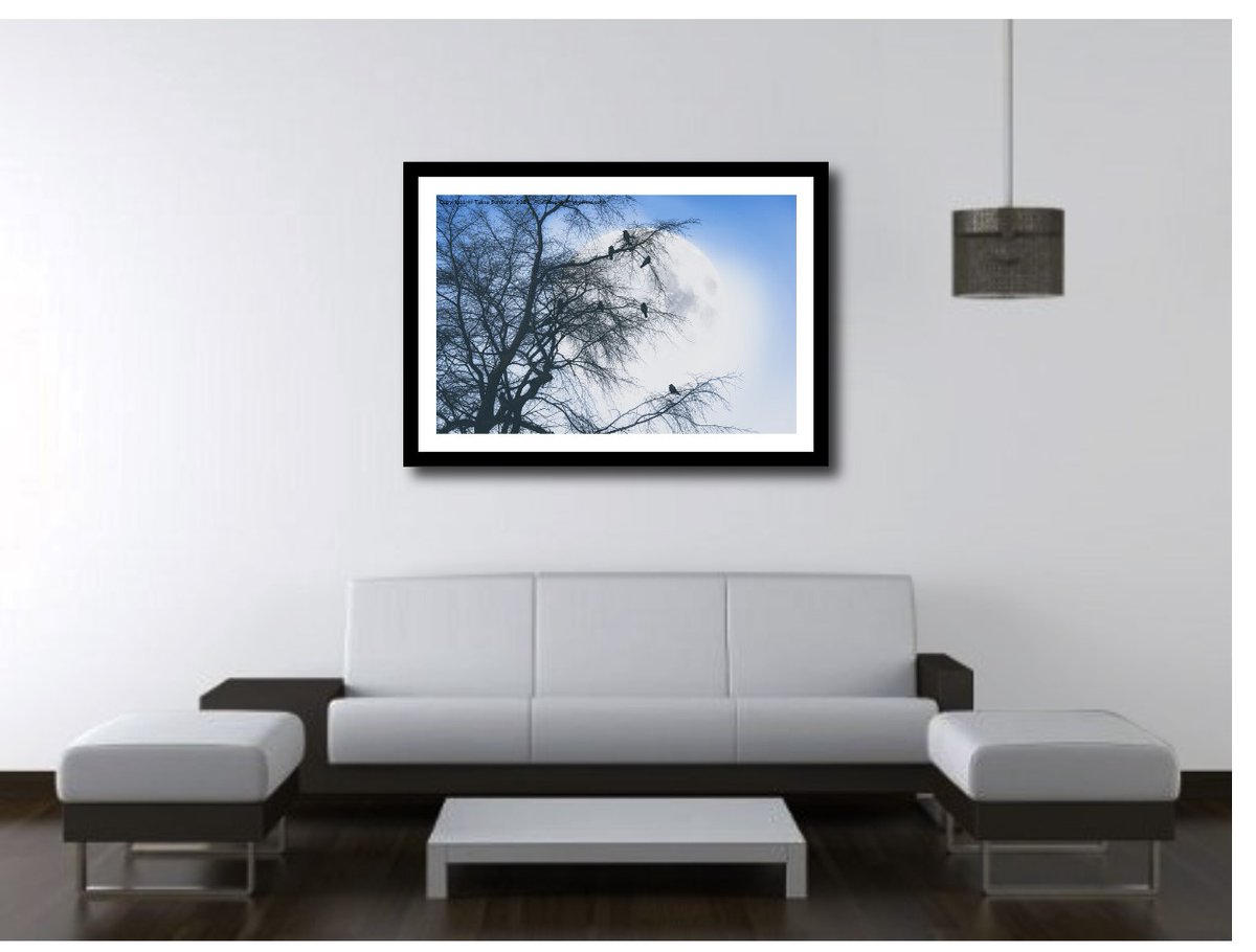 Swiss on Twitter "RT TainasArt New wallart is an easy way to