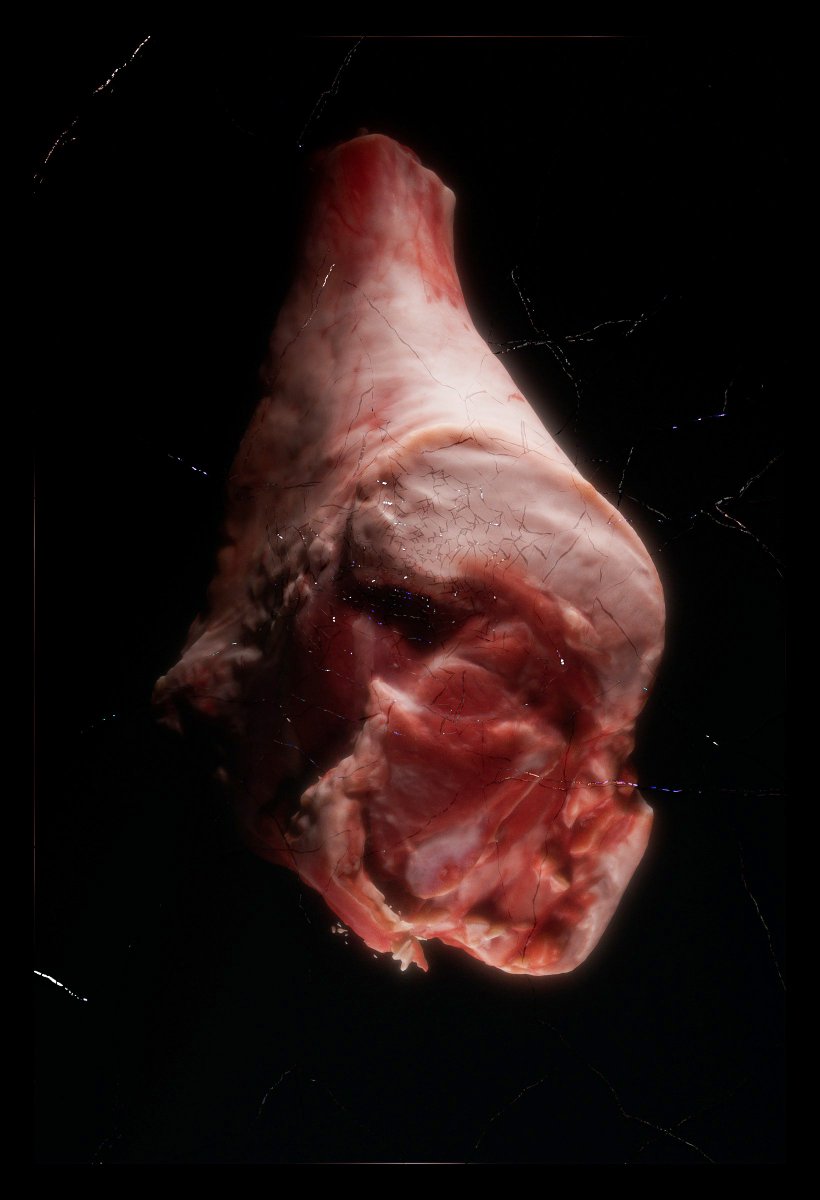 DavidLisser's tweet image. Gm folks
Very early experiments with broken mirrors and meat