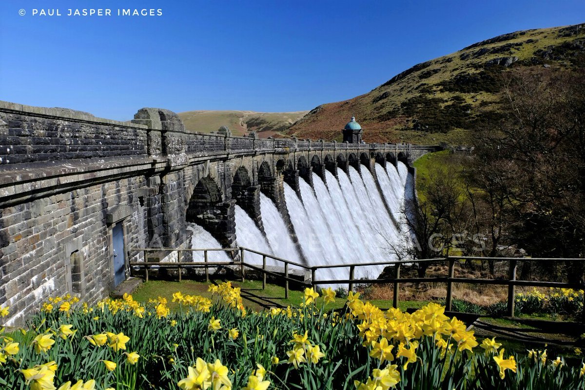 jaspersimages's tweet image. Craig Goch dam and daffs really in full flow now ! Passing through #elanvalley yesterday. Non stop sunshine over Craig Goch dam and a quick coffee as Nant Dolfolau flows by @ThePhotoHour @StormHour @ItsYourWales @Ruth_ITV @xSorchaLewisx @StormHourMark @WelshCountry @Ameliaaber