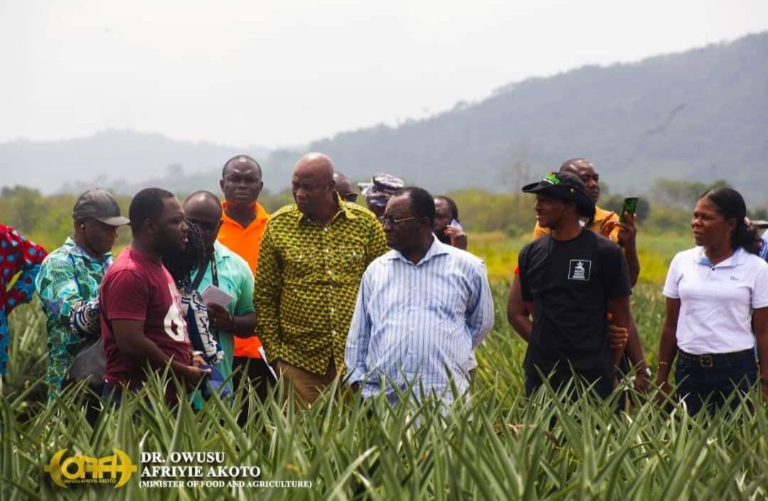 afriyie_akoto's tweet photo. #Socioeconomic transformation can be achieved in a #democraticstate when there is balance between the leader's vision and commitment to the progress of his country and the quality of institutions supporting the implementation of that #vision.

#afriyieakotofor2024 
#democracy https://t.co/vvzzaaFTPg