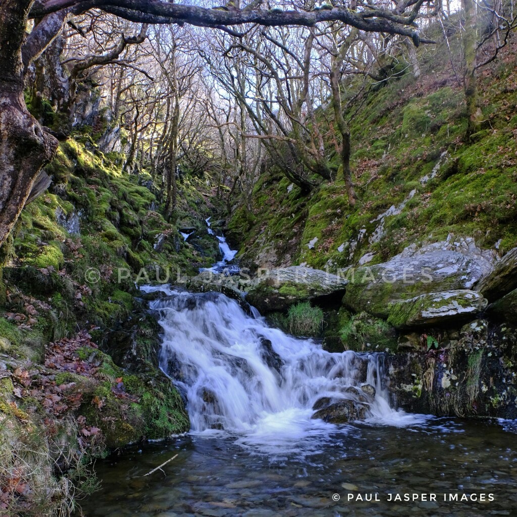 jaspersimages's tweet image. Craig Goch dam and daffs really in full flow now ! Passing through #elanvalley yesterday. Non stop sunshine over Craig Goch dam and a quick coffee as Nant Dolfolau flows by @ThePhotoHour @StormHour @ItsYourWales @Ruth_ITV @xSorchaLewisx @StormHourMark @WelshCountry @Ameliaaber