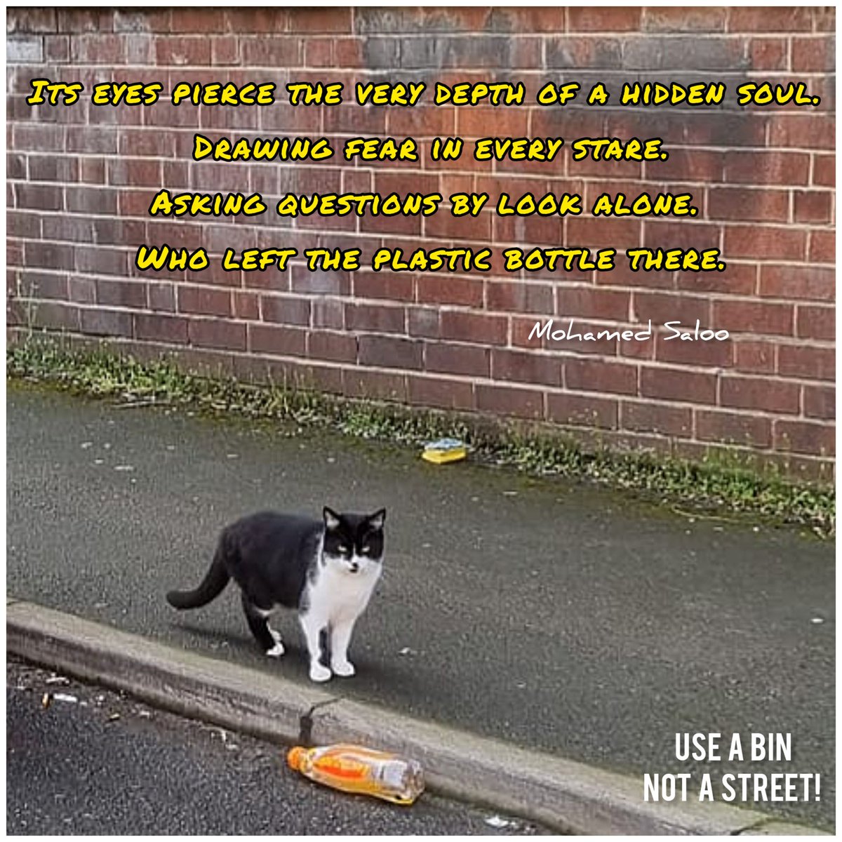 Its eyes pierce the very depth of a hidden soul
Drawing fear in every stare.
Asking questions by look alone
Who left the plastic bottle there.
#WaitingRoomPoet
#UseABinNotAStreet

Photo credit to a friend. 
<a href="/BatleyPoets/">Batley Poets</a> #poetry #poems #poetrycommunity
#GBSpringClean
