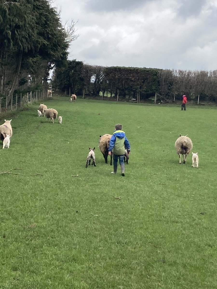 You just have to wonder… just what lies ahead. A constant trail of paperwork, bureaucracy and inspections only for the <a href="/thetimes/">The Times and The Sunday Times</a> to suggest this isn’t the case. So follow the thread