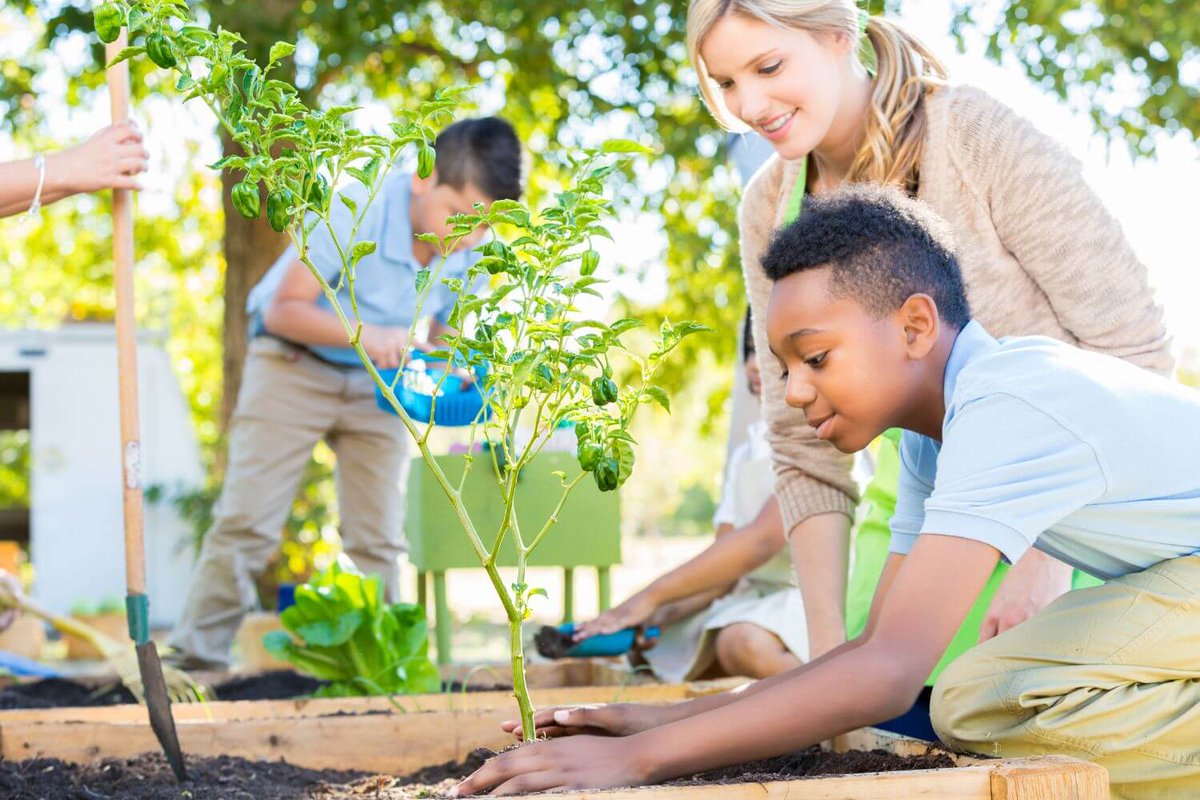 LtL_News's tweet photo. It's #InternationalCarrotDay! 🥕

Thinking about growing vegetables at school? A Local School Nature Grant could get you £500 worth of raised beds and growing kits — along with free staff training on gardening with your pupils!

Apply now ➡️ https://t.co/sPC2SDRFnP https://t.co/HfOdEsjWXE
