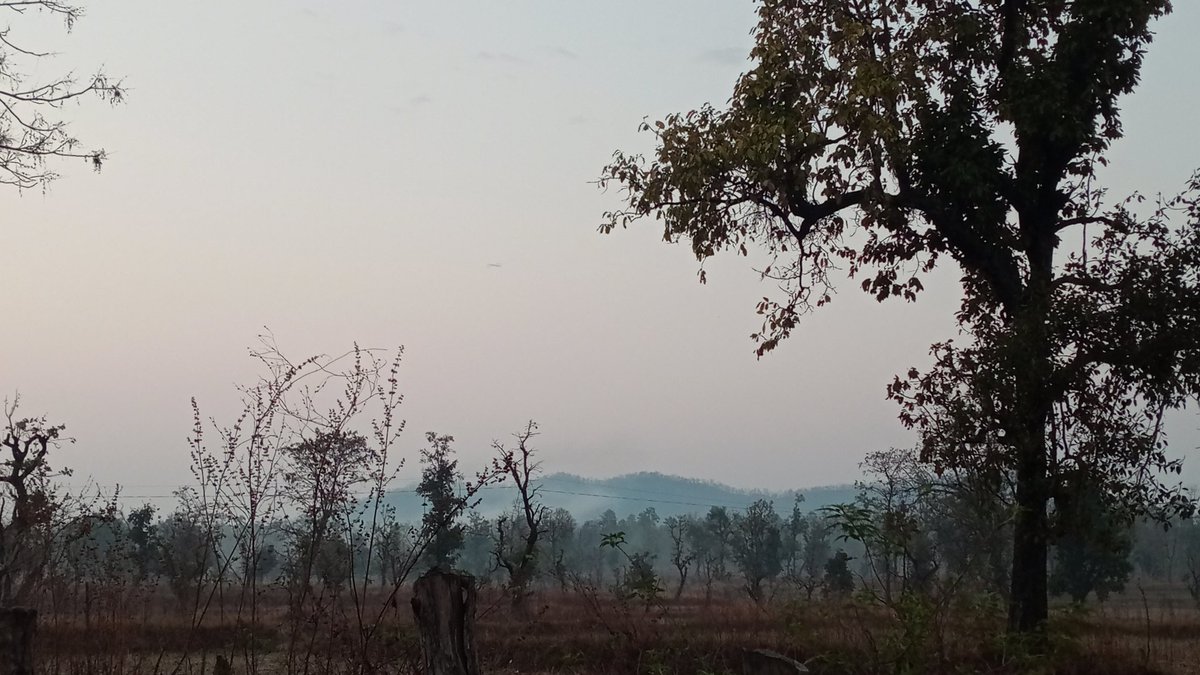 ADS20543371's tweet photo. Nss Ggv unit camp ग्राम #umaiyadadar अत्यंत सुंदर व मनभावन,गांव मे महुआ की प्रधानता है व इसके अलावा गाँव मे पर्यावरण की शुद्धता एवं विभिन्न प्रकार के फल-फूल परिपूर्ण है। @NssrdD @_NSSIndia @nssggcuCG @NSSRDBhopal @nssrdB @NssChhattisgarh @ConnectingNss @ggv_smc 
#nssunitcampggv https://t.co/u6I8q7XBJT