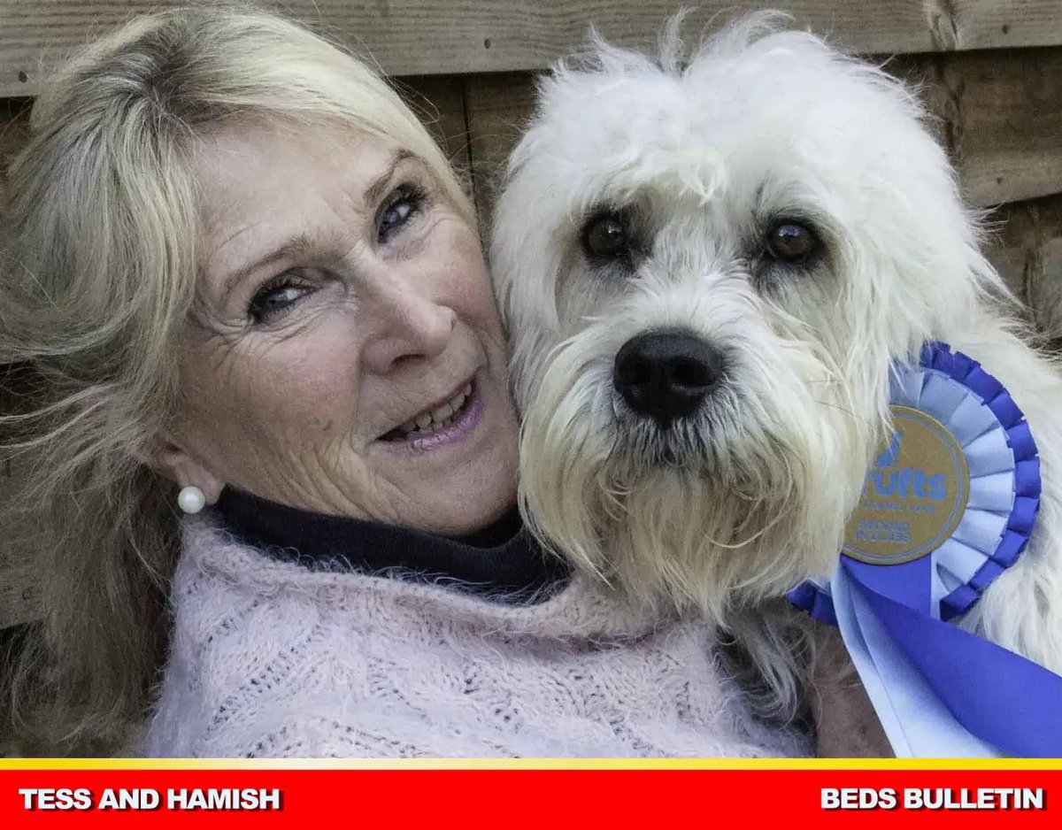 BedsBulletin tweet media