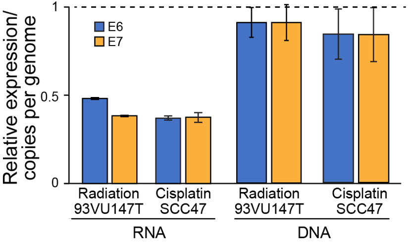 Michael Mints tweet media