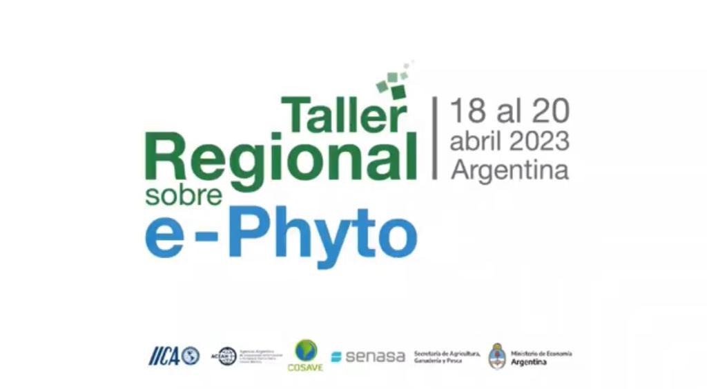 Argentina en FAO/FIDA/PMA - Roma tweet media