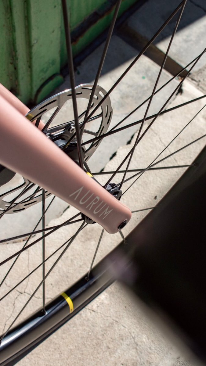 sanferbike's tweet photo. ♥️❤️🧡 Nueva AURUM MAGMA Dolomite Pink con montaje a la carta. Elige framekit, color del cuadro y de los logos, grupo, ruedas y kit de componentes y haz de tu AURUM una bici realmente única 😍
#aurumbikes #bornfromexperience #customcycles #sanferbike #passionforcycling #ciclismo https://t.co/bq4KkAphB0