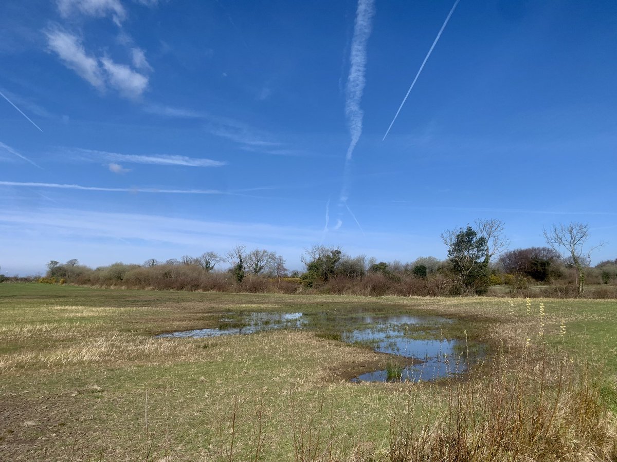 Robert Fisher tweet media