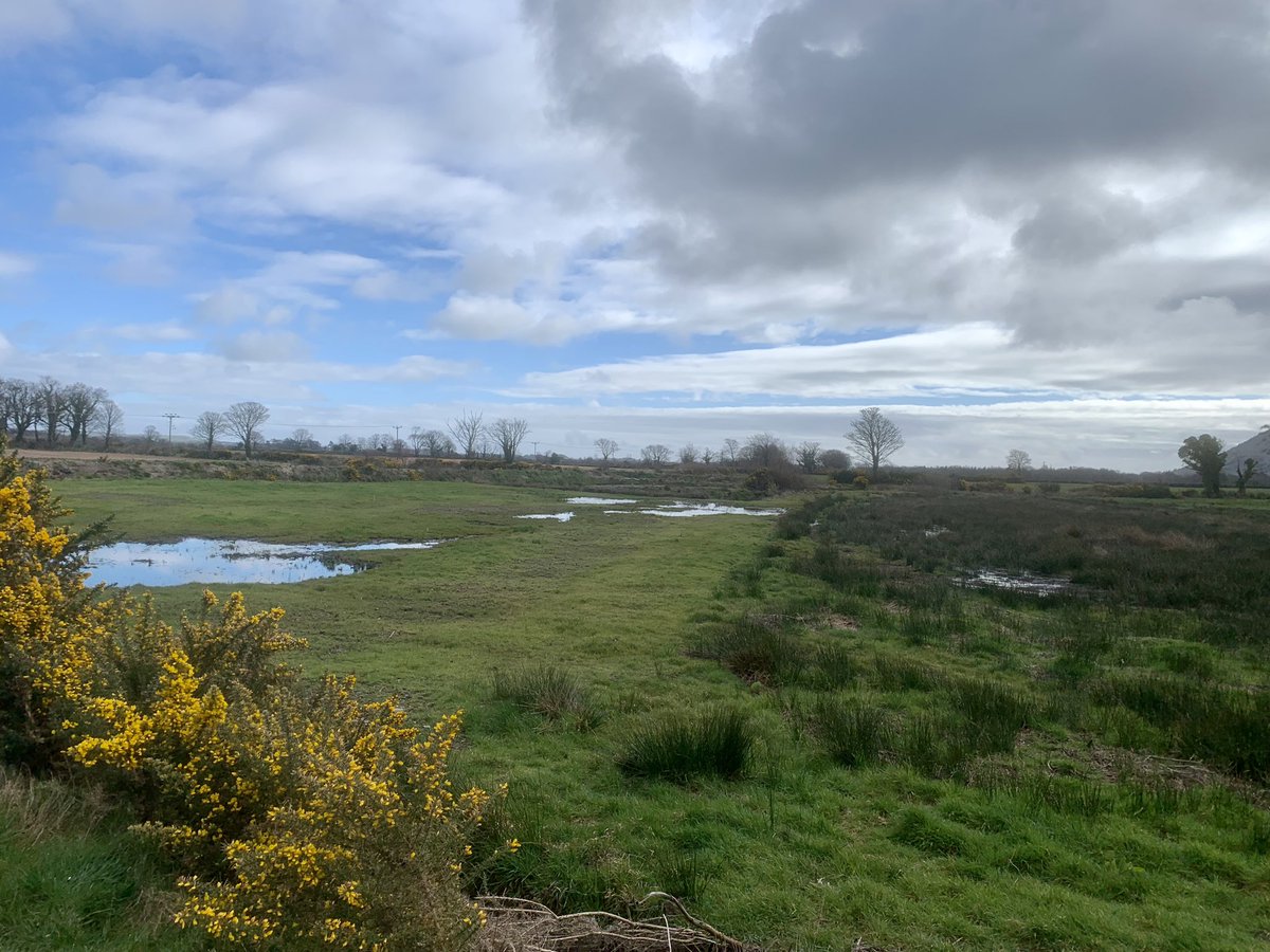 Robert Fisher tweet media