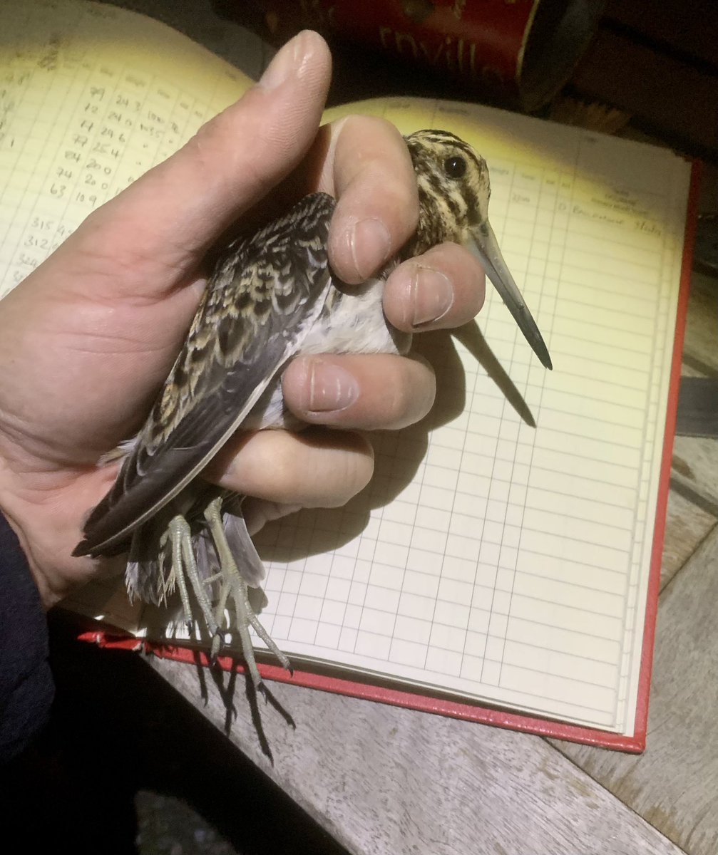 Robert Fisher tweet media