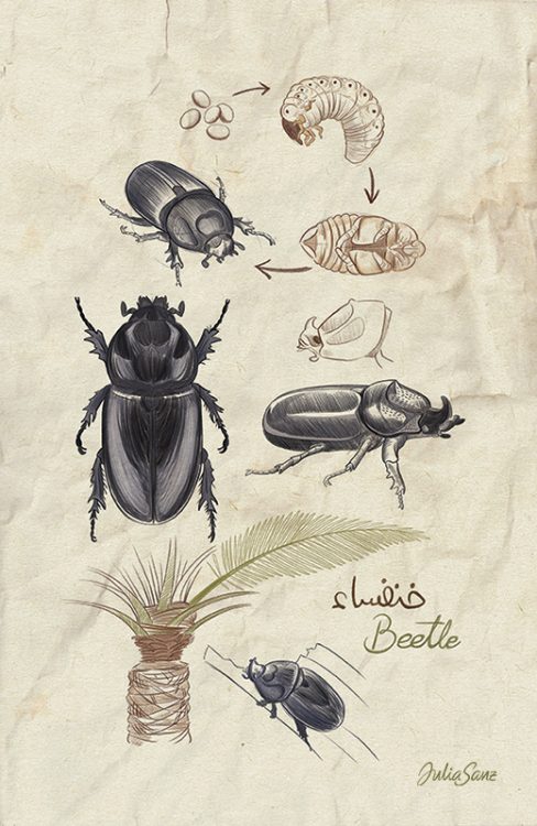 graficatessen's tweet image. Hoy nos quedamos cerca de casa para conocer el trabajo de Julia Sanz - bit.ly/3GeWVXK #faunalocal #illustration