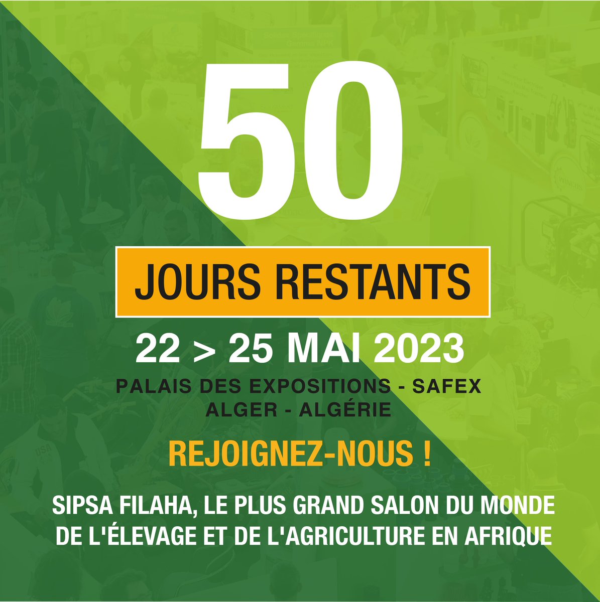cciaf_actu's tweet photo. 🟢J-50🟢🐄🟢
💥Venez à la rencontre des principaux acteurs du marché agricole et développer votre réseau d'affaires au salon référence de l'agriculture en #Algérie &amp; retrouvez la @cciaf_actu  au @sipsafilaha 23 en tant que #partenaire

#agriculture #élevage #salon #safex #filaha https://t.co/ar0AwssK9V