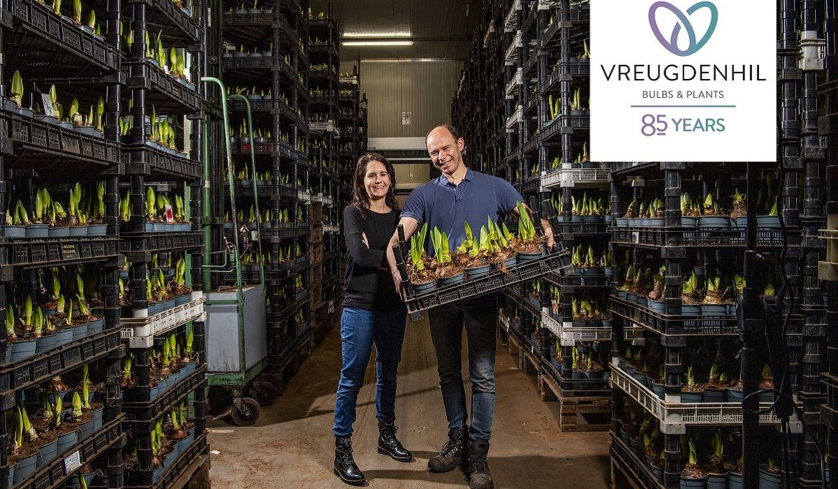 Flora_News's tweet photo. Vreugdenhil Bulbs &amp; Plants bestaat 85 jaar https://t.co/cxxThZ9Byq https://t.co/p3UCRosF0F