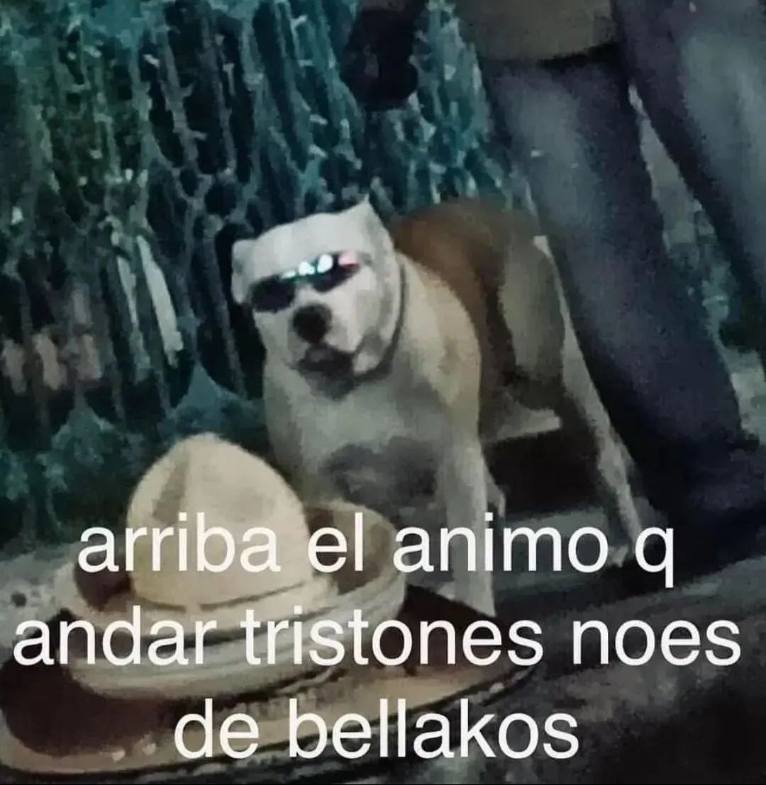skereunpesado's tweet photo. https://t.co/4lHKzD4PzQ