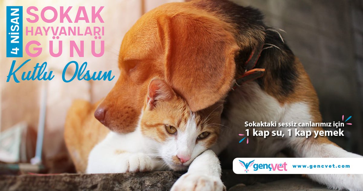 4 Nisan Dünya Sokak Hayvanları Günü Kutlu Olsun ❤️ 
.
Dünyadaki sokak hayvanlarının yaşam koşullarını iyileştirmek ve farkındalık oluşturmak için 2010 yılından beri 4 Nisan "Dünya Sokak Hayvanları Günü" olarak kutlanmaktadır.
.
#4Nisan #DünyaSokakHayvanlarıGünü