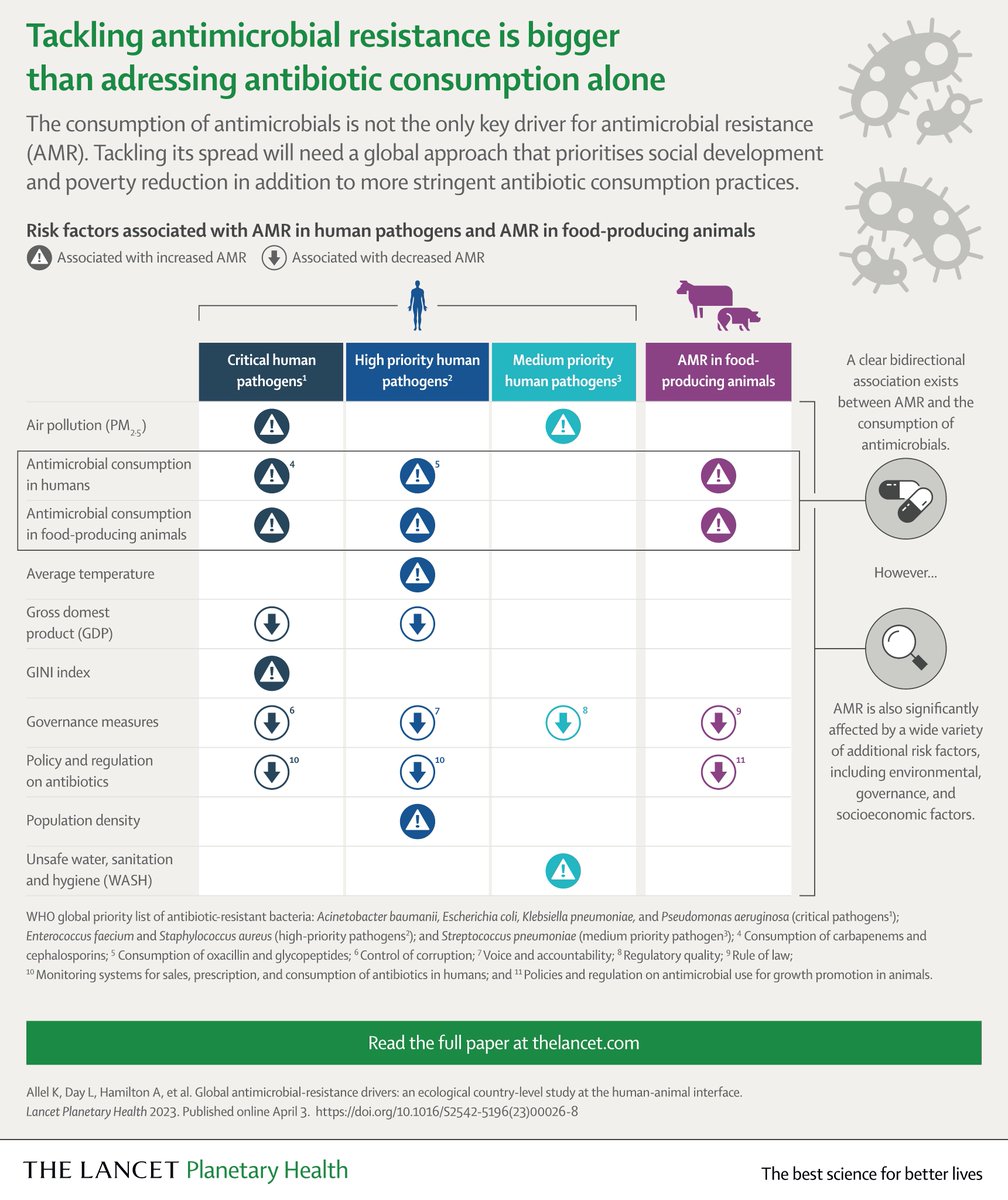 Kasim Allel tweet media