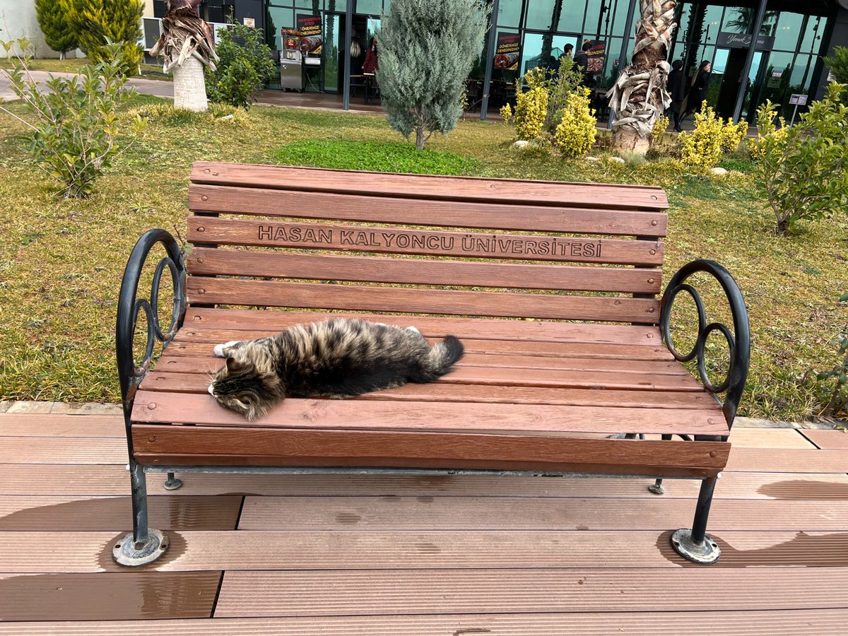 hkunv's tweet photo. Bugün Dünya Sokak Hayvanları Günü 🧡

Sokaktaki sevimli dostlarımız için kapımızın önüne bir kap yemek ve su koymayı unutmayalım. Hayat onlarla daha güzel. #OnlarBizeEmanet 🐈🐕🕊️

4 Nisan #DünyaSokakHayvanlarıGünü kutlu olsun. 🐾

#hkunv https://t.co/j3qJ63vrol