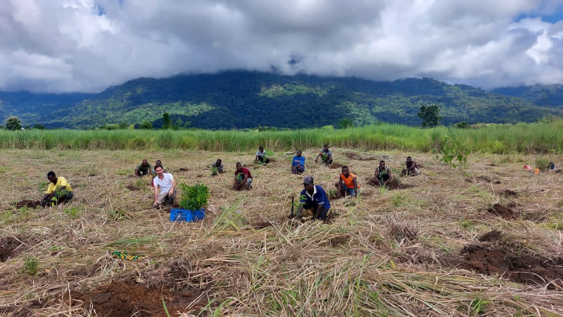 PLinTanzania's tweet photo. ✅We are planting trees in the 🐘🐘 corridor in the Kilombero valley 🇹🇿. @PLinTanzania 🇵🇱 joins hands with @STzElephants and @ReforestAfr to support the creation of the first wildlife corridor linking national parks in Tanzania. https://t.co/dYT9ApFVR4