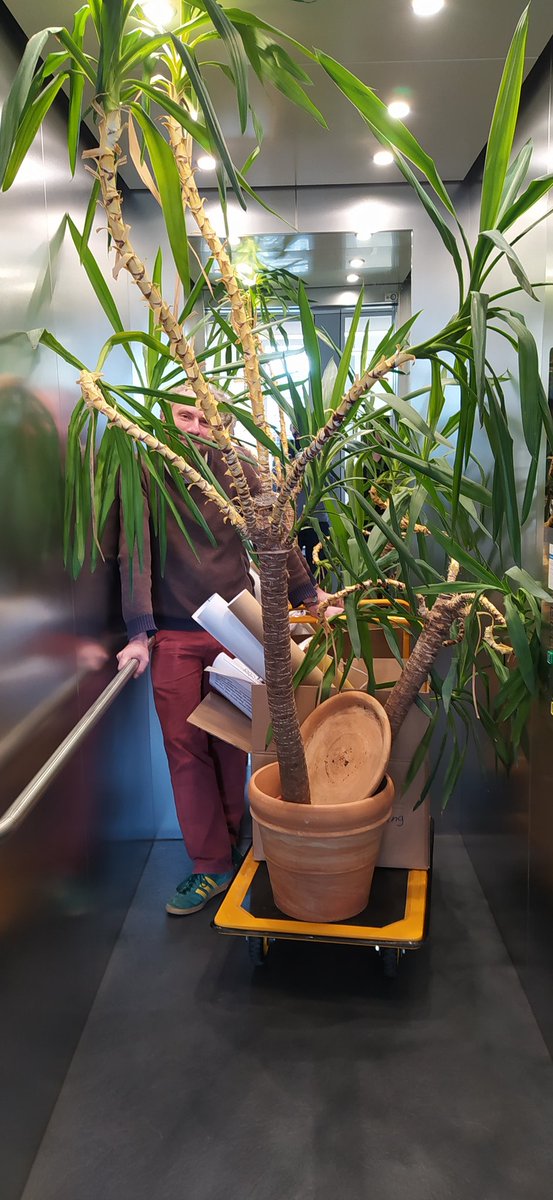 #BioImageAnalysis: @haesleinhuepf analyzing a plant sample inside a cubic chamber
Moving to new office @PoLDresden