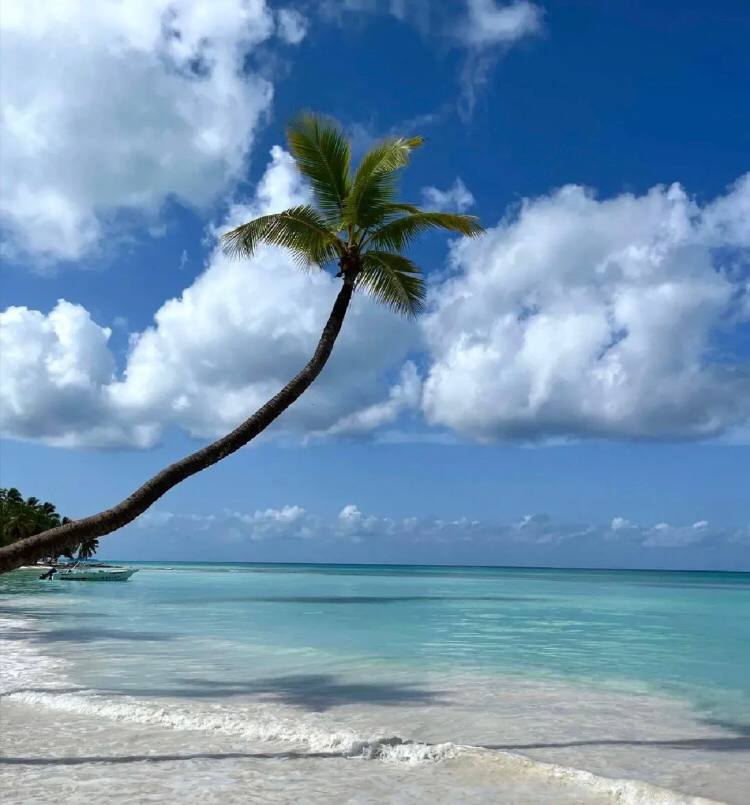 Whatever the future holds for each day, it is your choice, and living by your choice is the best gift you can give yourself